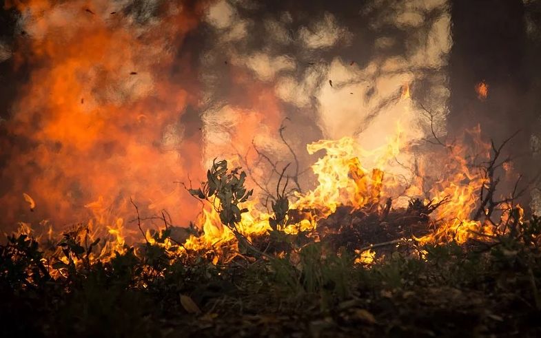 Szabadtéri tüzek adtak munkát a Szabolcs megyei tűzoltóknak