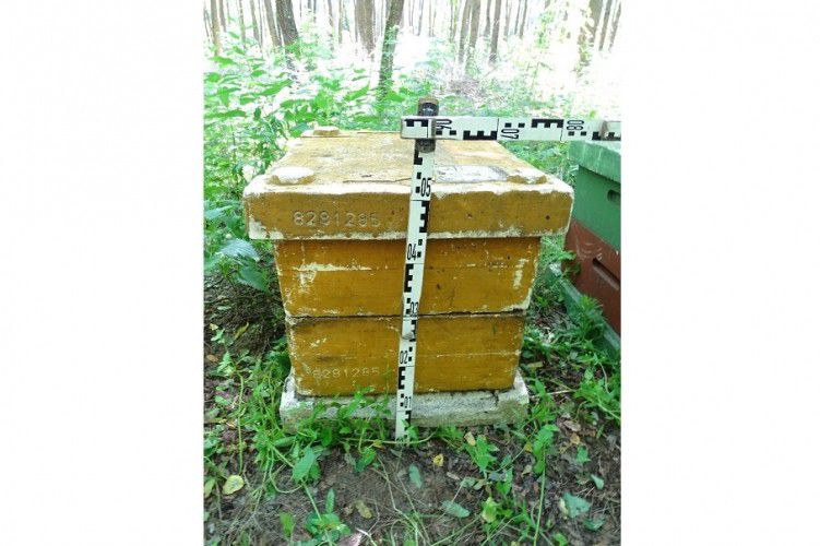 Méhkaptárokat lopott Monostorpályiból