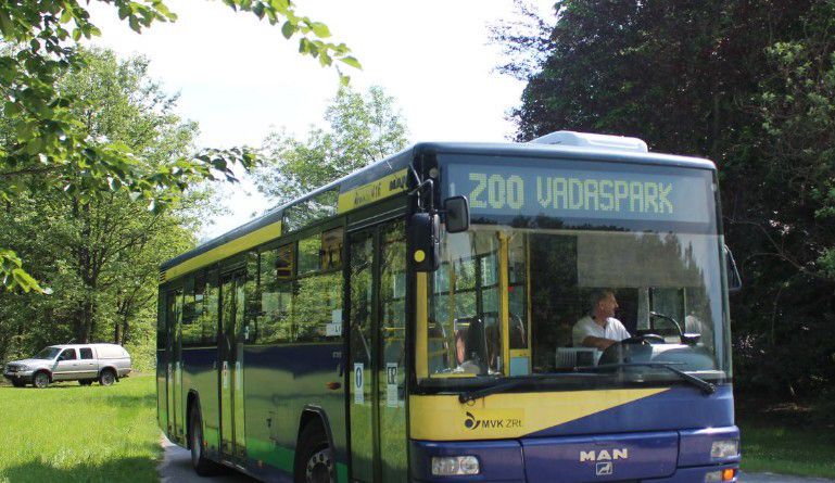 Busszal is látogathatjuk a miskolci állatokat