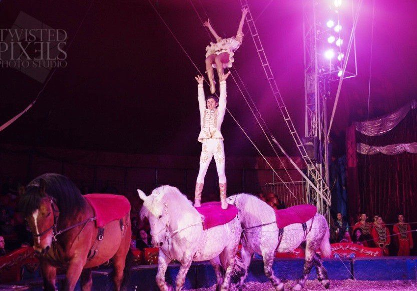 Nyíregyházán vendégszerepel a  Magyar Nemzeti Cirkusz