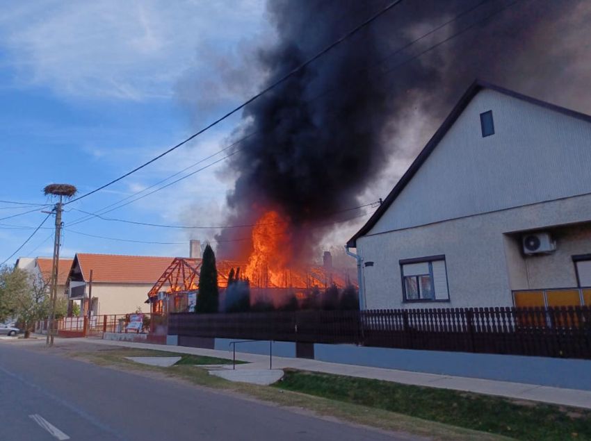 Leégett egy kertészeti bolt Pocsajon