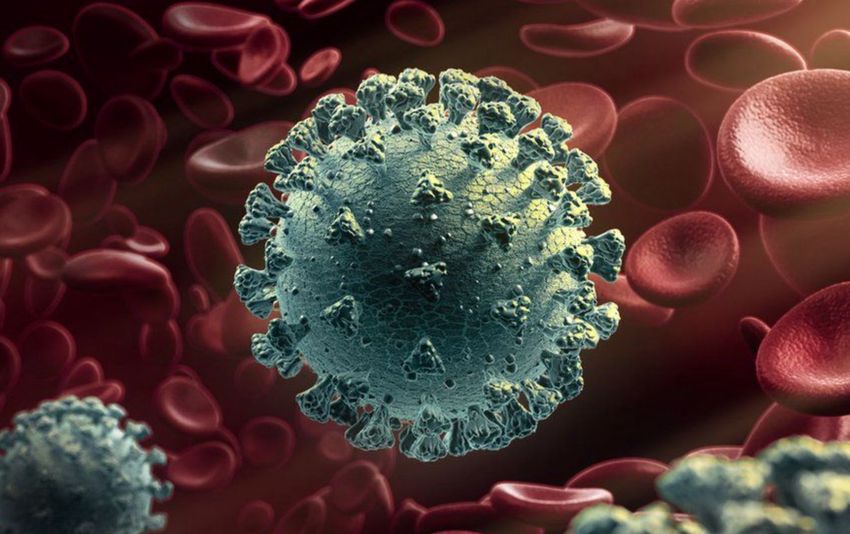 Átlépte a 20 ezret a koronavírusban elhunytak száma