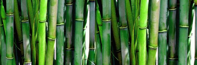 Nem érintkezhetnek élelmiszerrel műanyagot és bambuszt együtt tartalmazó anyagok