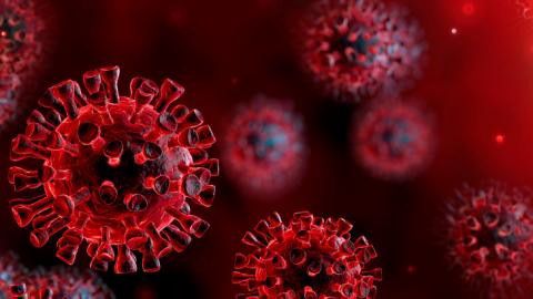 Magyar kutatók felfedezése alkalmas lehet a koronavírus-fertőzés gátlására