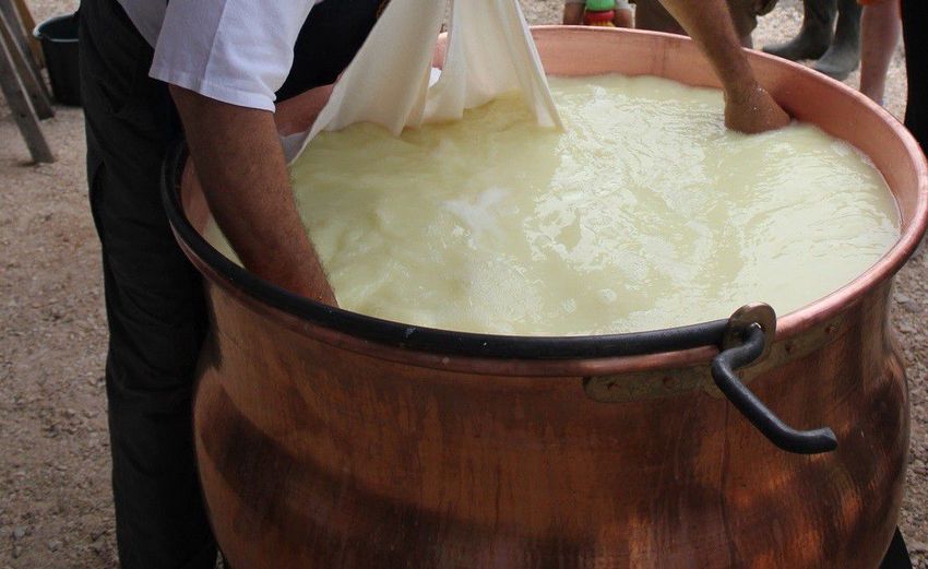 Bodrogkeresztúron elkészítik az ország legnagyobb sajtját