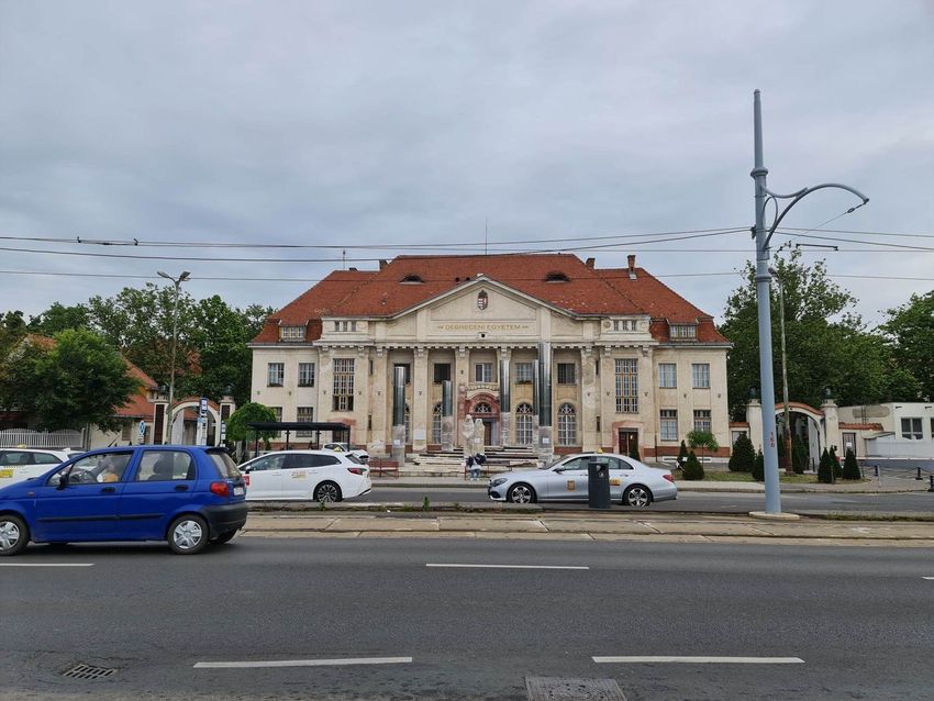Megtudtuk, miért vágták ki a fákat a debreceni klinika előtt
