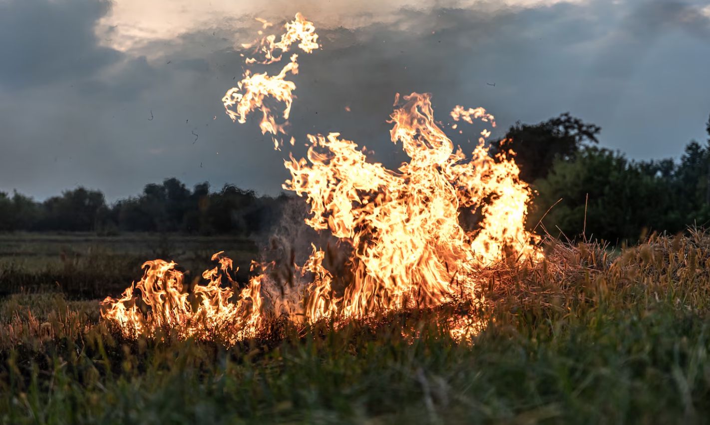 Nagy erőkkel oltják a vásárosnaményi tüzet