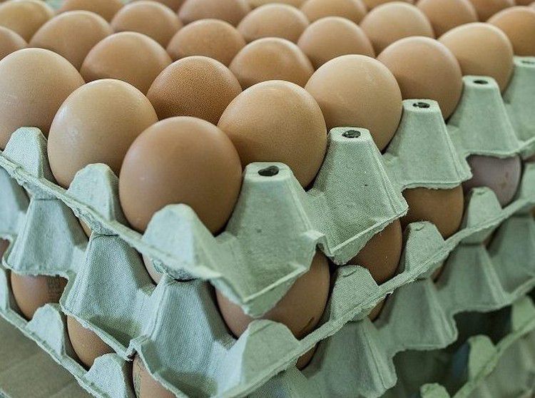 Brutális ára lesz a tojásnak