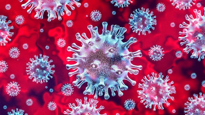 Tragikus rekord: újabb 207 koronavírusos hunyt el
