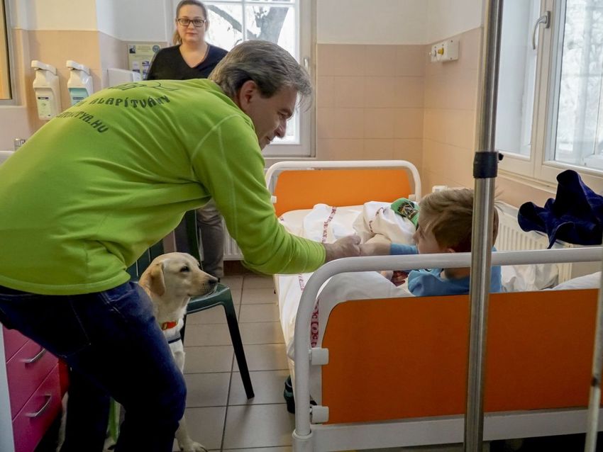 Labradorokkal érkezett a Mikulás a debreceni klinikára