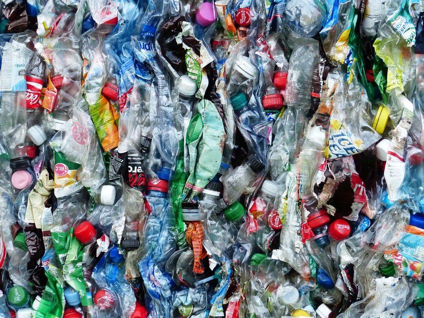 Kutatók szerint műanyagon jól él az omikron