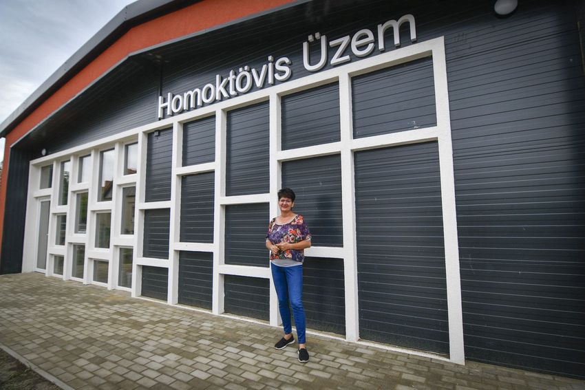 Tetétlenen „arannyá” érik a sárga homoktövis