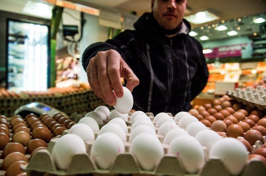 Magyarországon is találtak szennyezett tojást