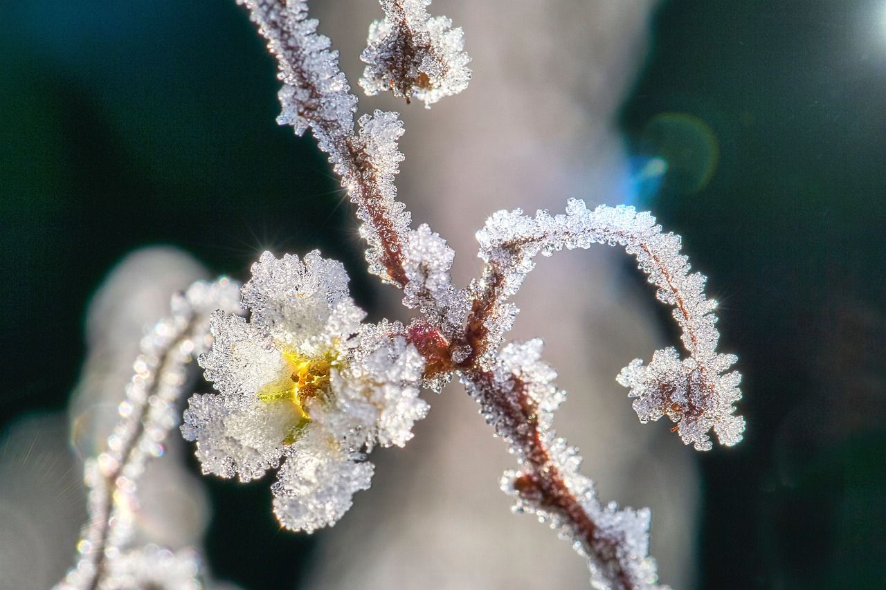 Akár mínusz 15 Celsius-fok alá is hűlhet a levegő