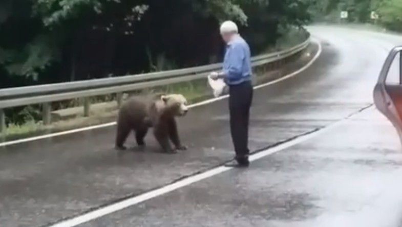 Az öreg székely és a medve az út közepén + VIDEÓ!