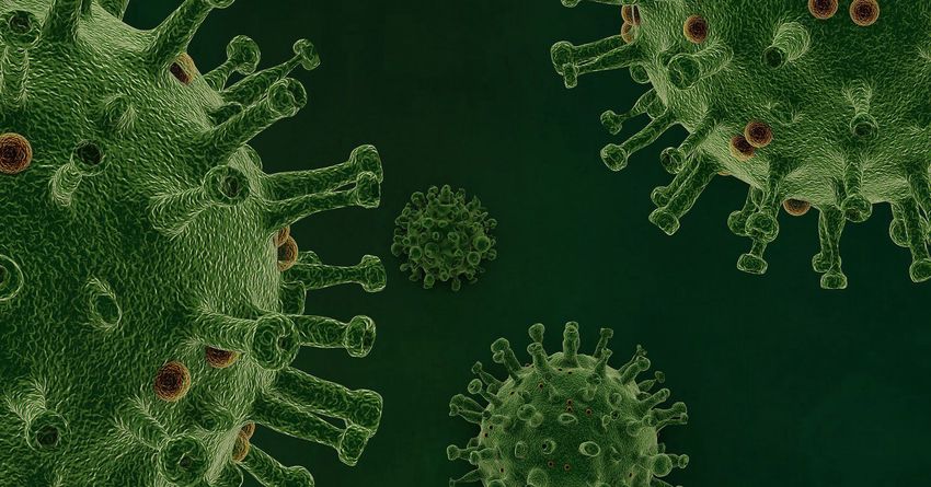 Járvány: az új fertőzöttek száma 300 felett, a halottaké 20 alatt