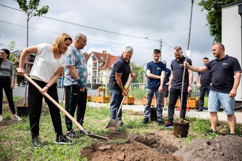 Újabb cég áldozott Debrecen zöldítésére