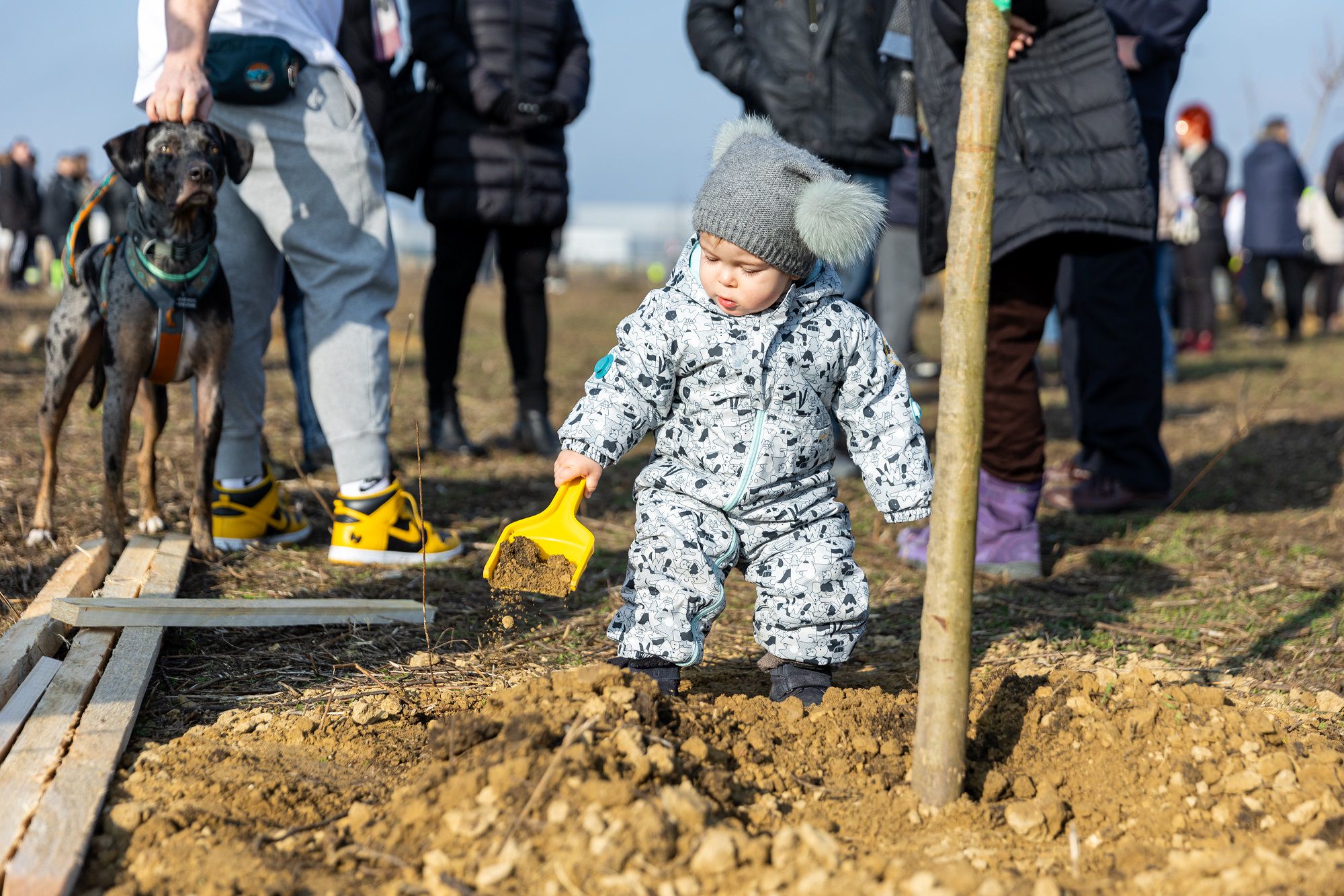 Kicsik és nagyok ültettek fát Debrecenben 