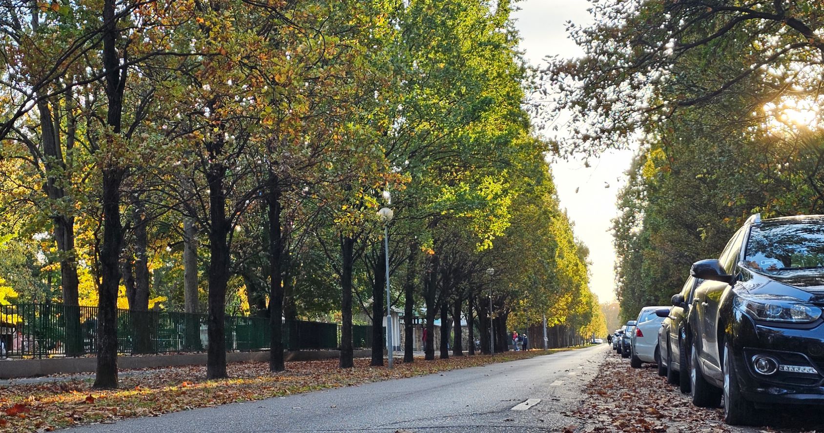 Parkolási rend a nemzeti ünnepen