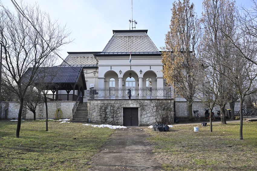 Helyben nevelkedett fenyőt öltöztetnek Bocskaikertben