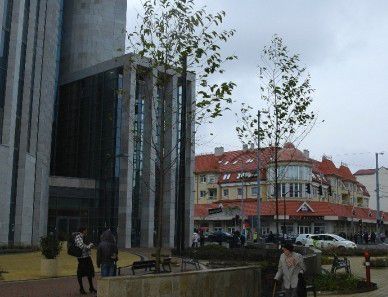 Deviza: Debrecen is mélyebben nyúl a zsebébe