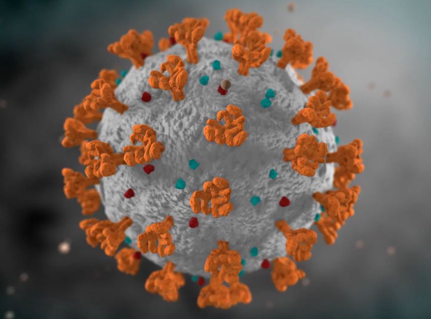 Koronavírus: senki nem hunyt el augusztus utolsó hétvégéjén
