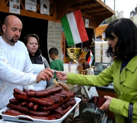 Tőkést mangalicák, Kósát pedig Semjén pótolta