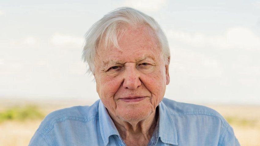 95. születésnapját ünnepli David Attenborough