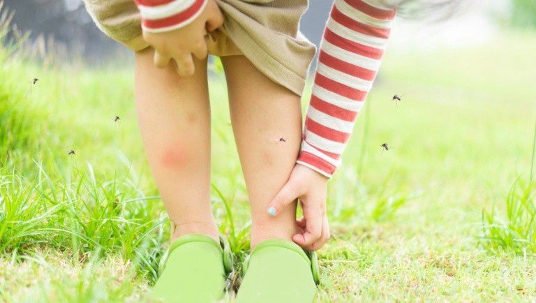 A kérészek miatt nem irtják a szúnyogokat Tiszaújvárosban