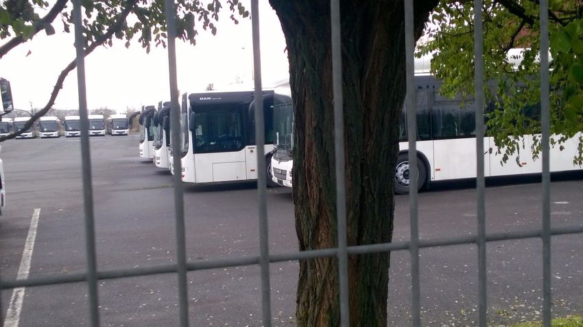 Lövei szerint eltolták Nyíregyházán a buszprojektet