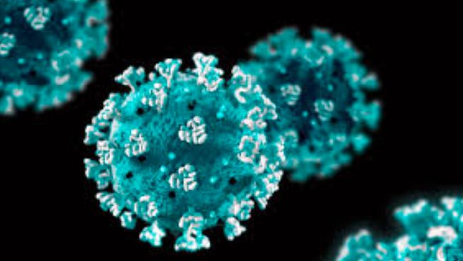Koronavírus, negyedik hullám: 479 új fertőzött, 5 halott