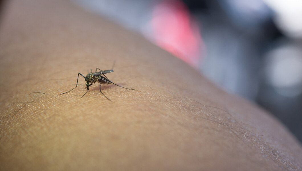 Szúnyogirtás: Debrecen is sorra kerül