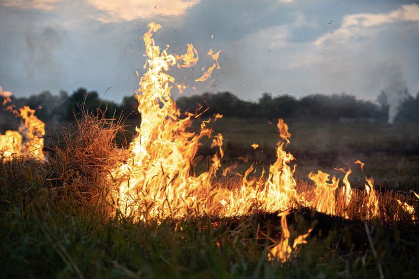 Több hektáron lángolt az erdő aljnövényzete Hajdúhadházon