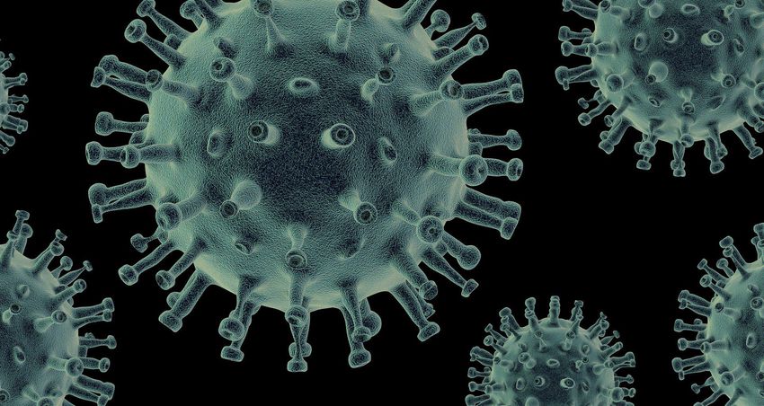 Járvány: 66 új fertőzött és 8 elhunyt