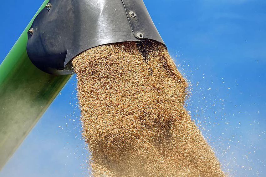 Ukrán gabonaimport: Orbánék Brüsszel közbelépését kérik