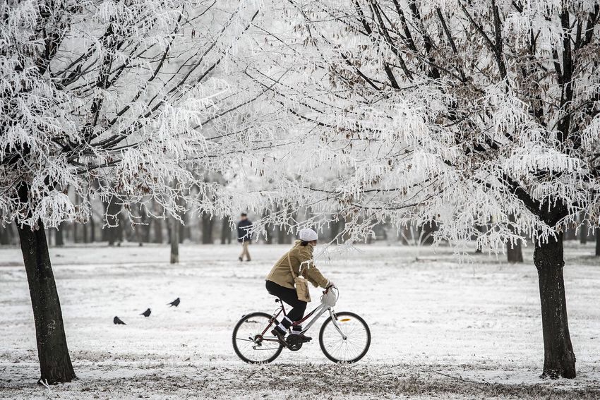 Hideg és fehér: gyönyörű a tél Debrecenben