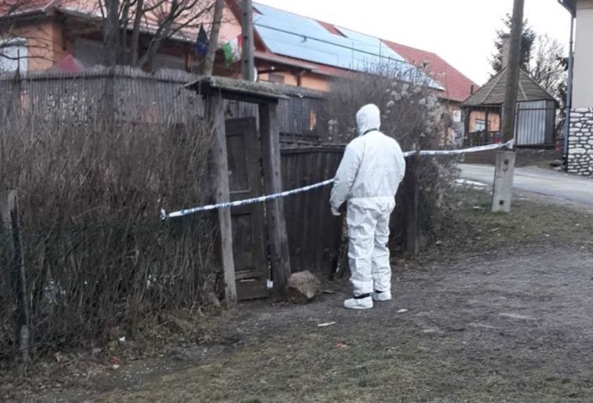 Legkorábban 30 év múlva szabadulhat a sályi gyilkos