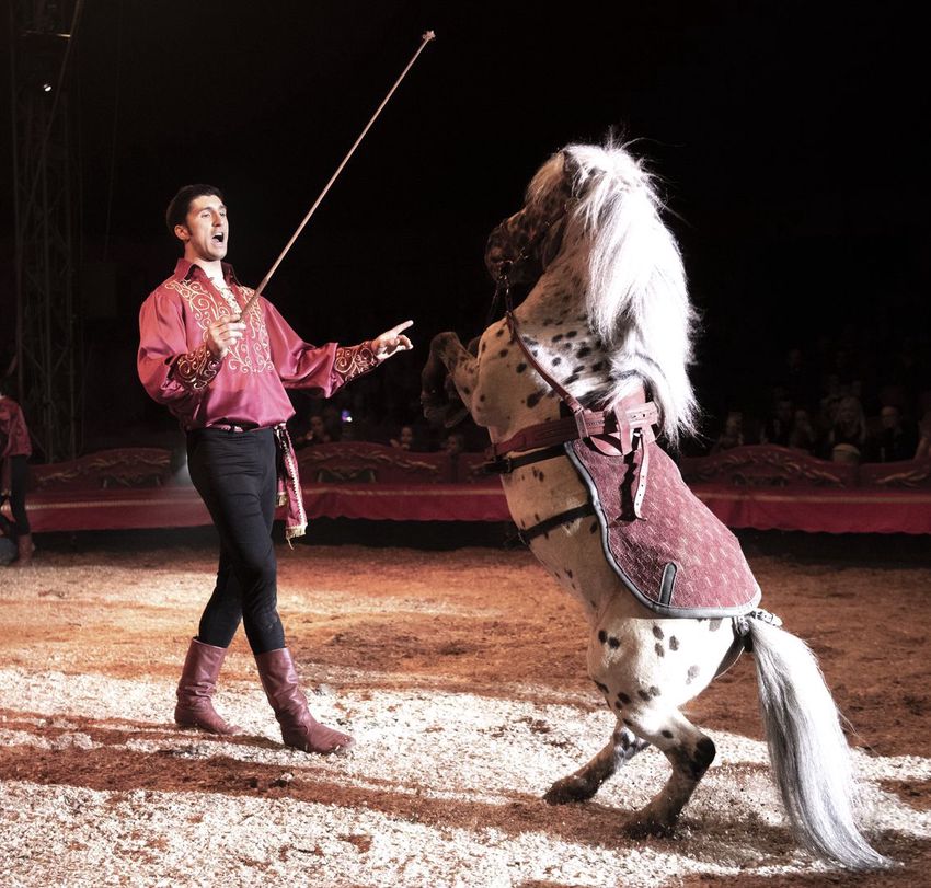 A héten még Debrecenben a Magyar Nemzeti Cirkusz mesés világa
