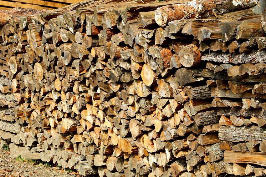 Tanácsokkal segíti a Nébih a fakereskedő vállalkozásokat