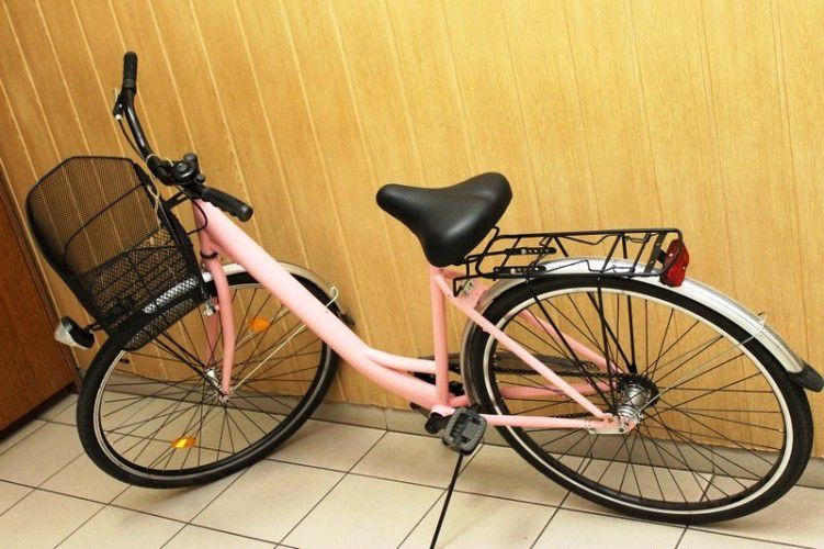 Egy 15 éves hajdúhadházi fiú rózsaszín biciklit lopott Debrecenben