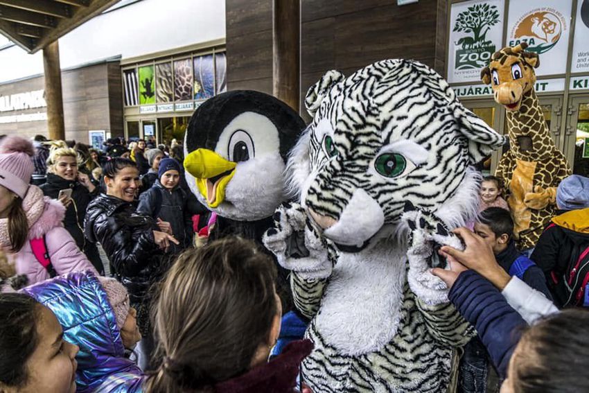 16 ezer látogatót vonzott a Nyíregyházi Állatpark 100 forintos napja