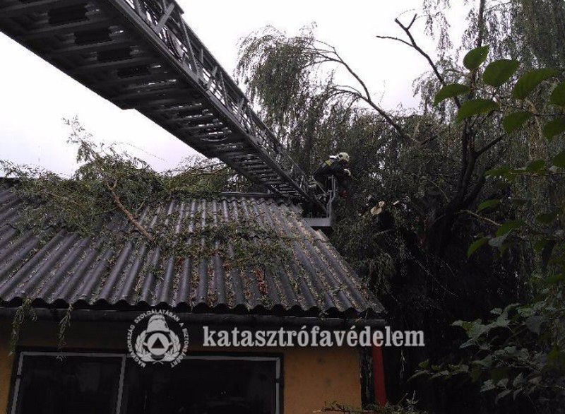 Villanyoszlop dőlt, szakadtak az ágak Debrecenben