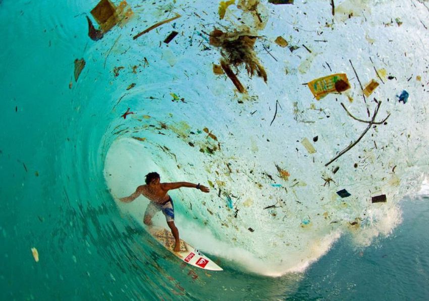 Itt a természet válasza a műanyag hulladékra!