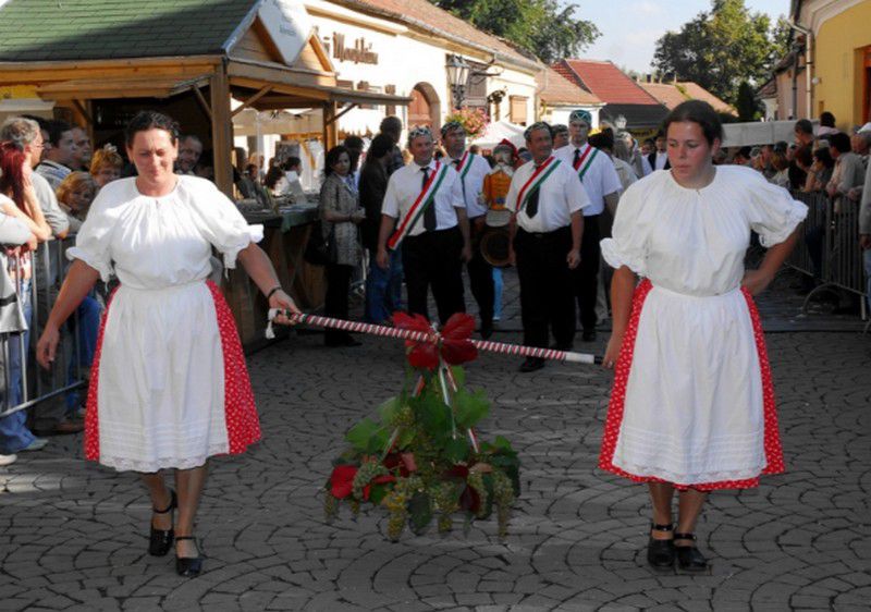 Az ország legnagyobb szüreti bulija kezdődik Tokajban