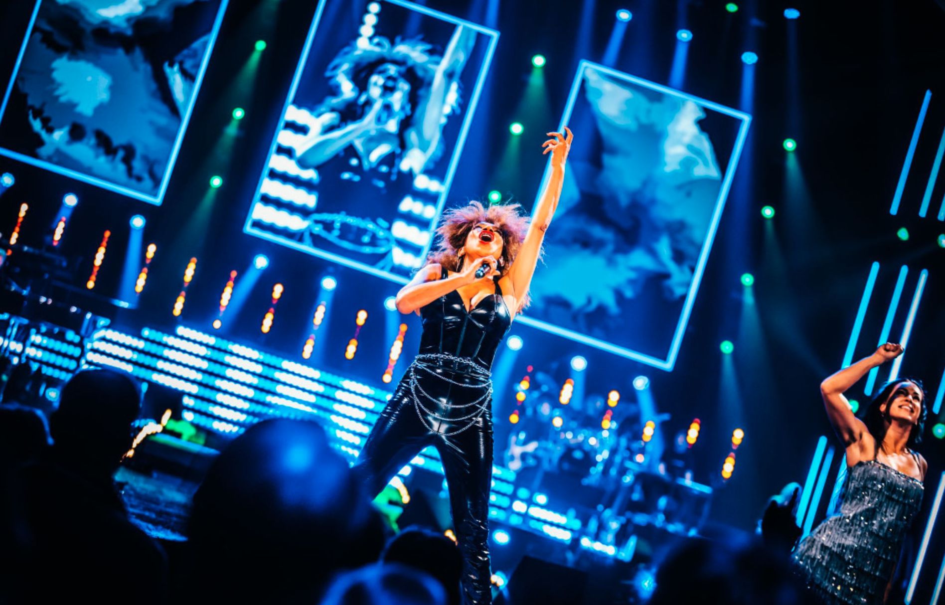 Tina Turner lelke Debrecenben Tina Turner lelke Debrecenben