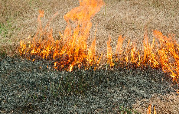 Nagy területen gaz kapott lángra 