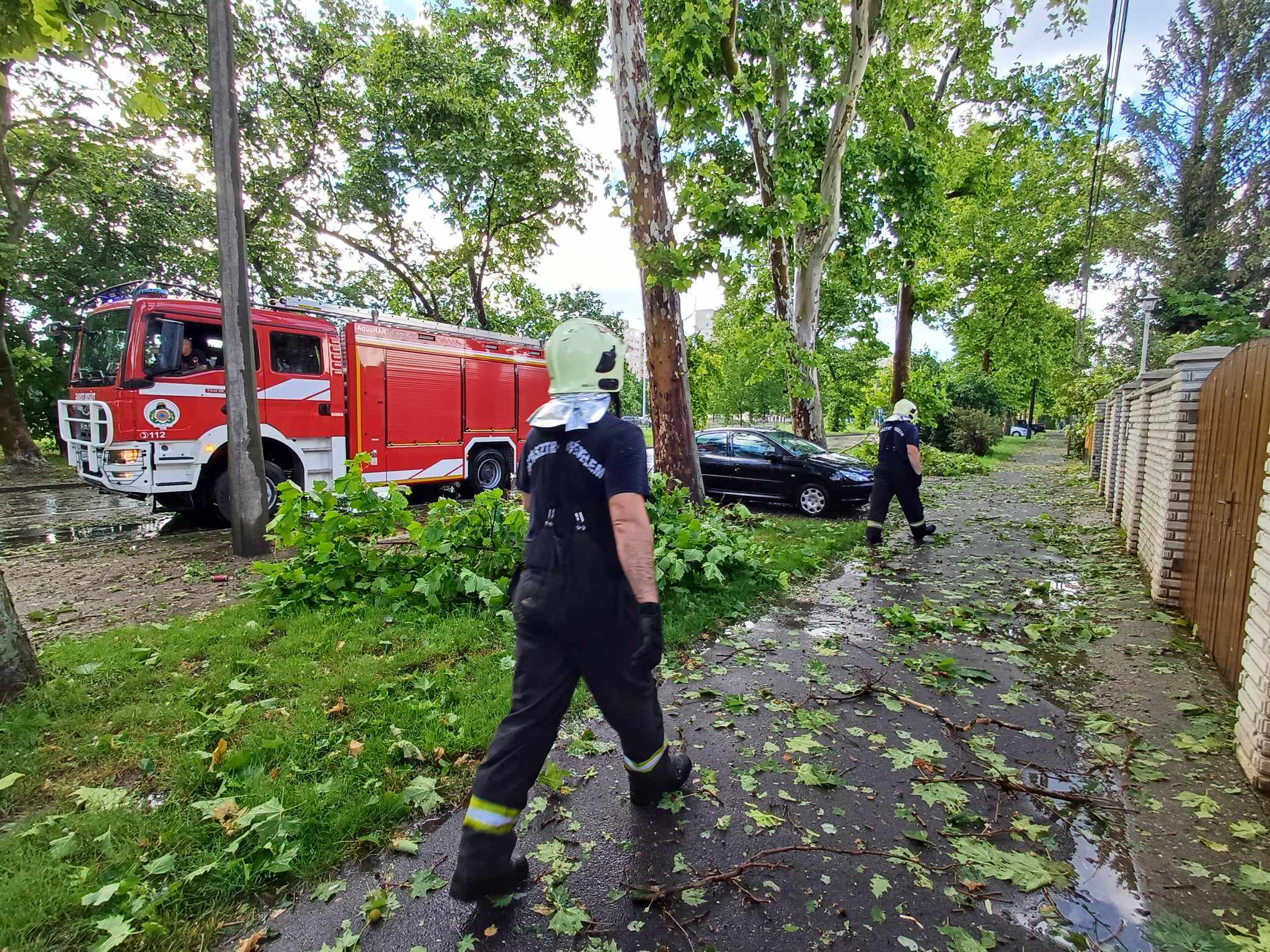 Kidőlt fák maradtak a vihar után Debrecenben