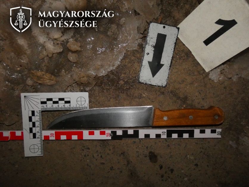 Késsel támadt az intézkedő rendőrökre egy szabolcsi férfi
