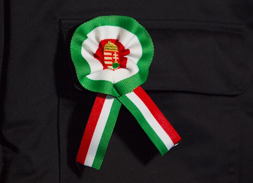 Ingyen kokárdát tessenek!