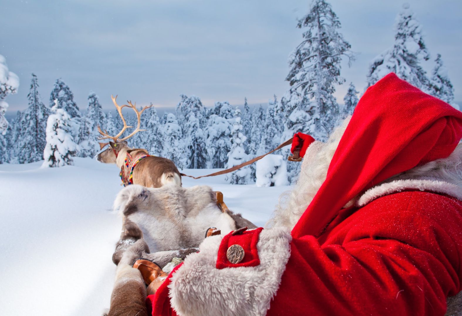 Santa Live: élőben lehet követni a Mikulás útját